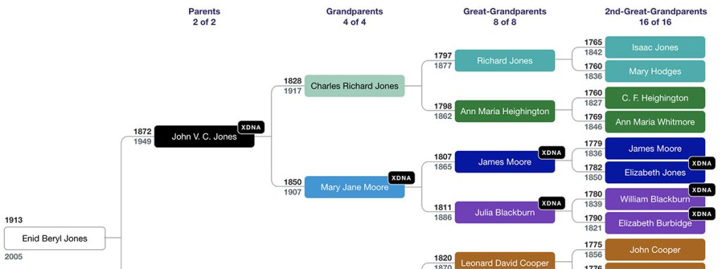 My grandmother's ancestral tree, showing that James Moore senior is not in her X-DNA inheritance path