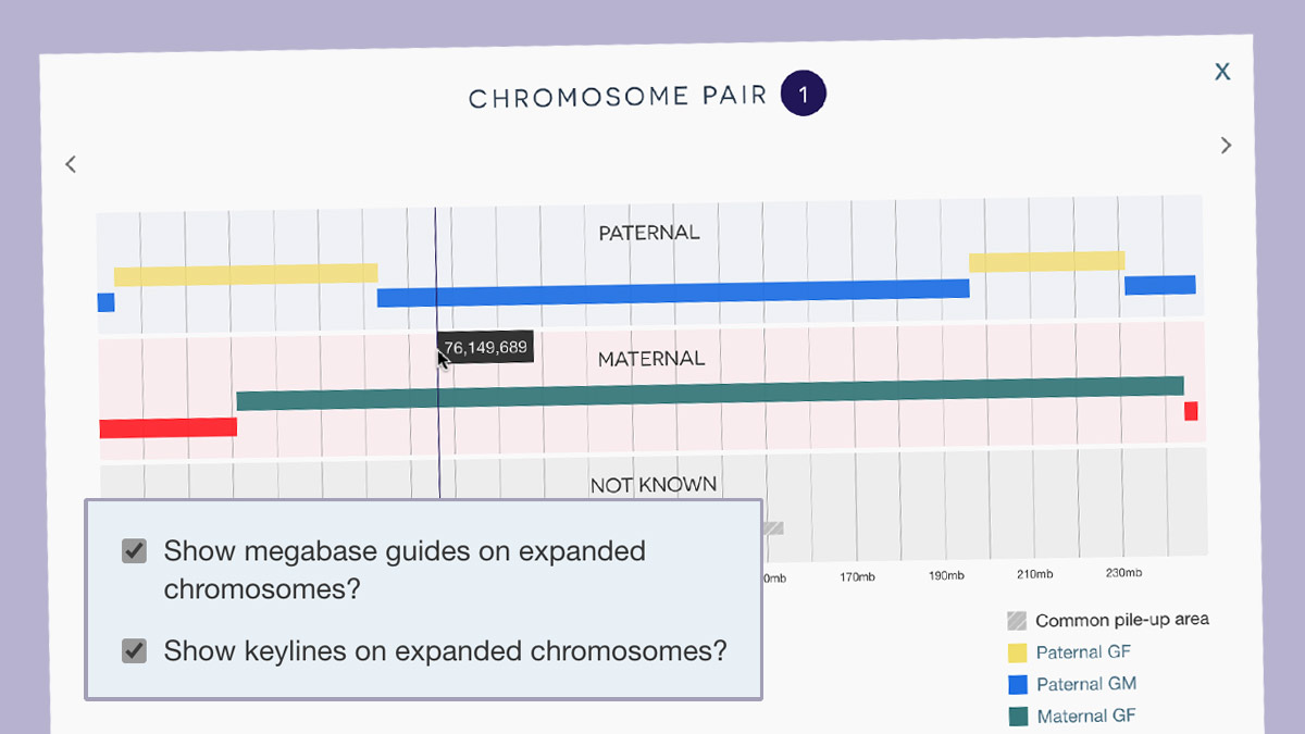 Detail view of chromosome 1 showing gridlines, keyline and base pair position of the cursor.