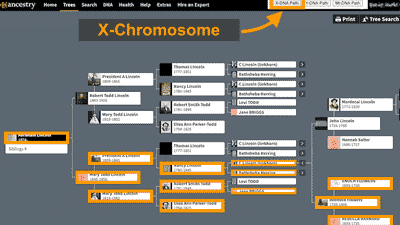Ancestry DNA Paths