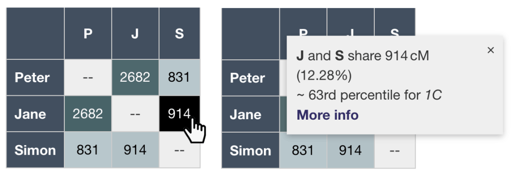 The dismissable panel that appears when you click on a cell in the DNA matrix tool