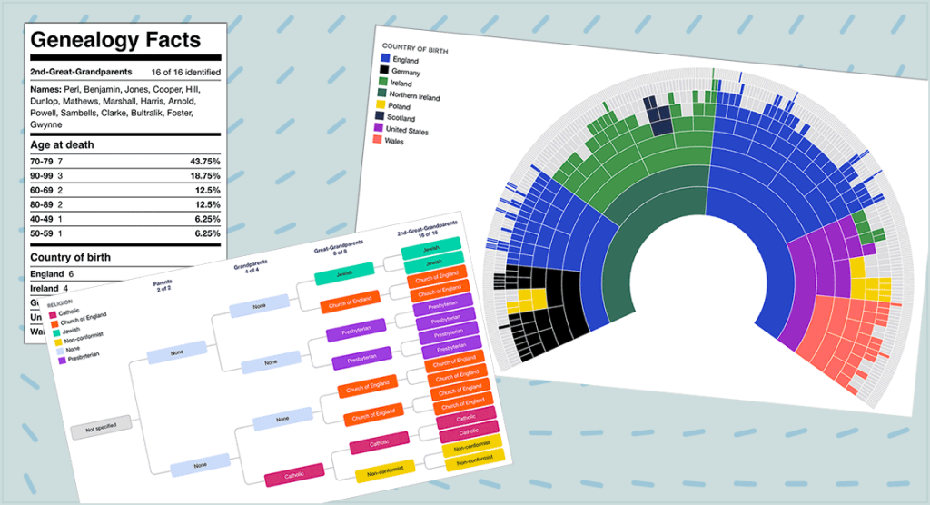 DNA Painter dimensions