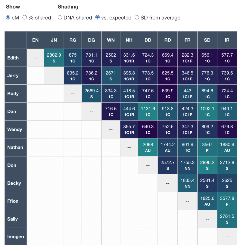 An example matrix with show half matrix checked