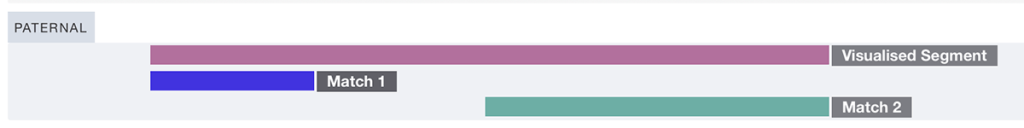 Visualisation of an extended segment based on the hypothesis that Person A is descended from John Smith and Matilda Jones AND Jeremiah Phillips and Rebecca Thomas
