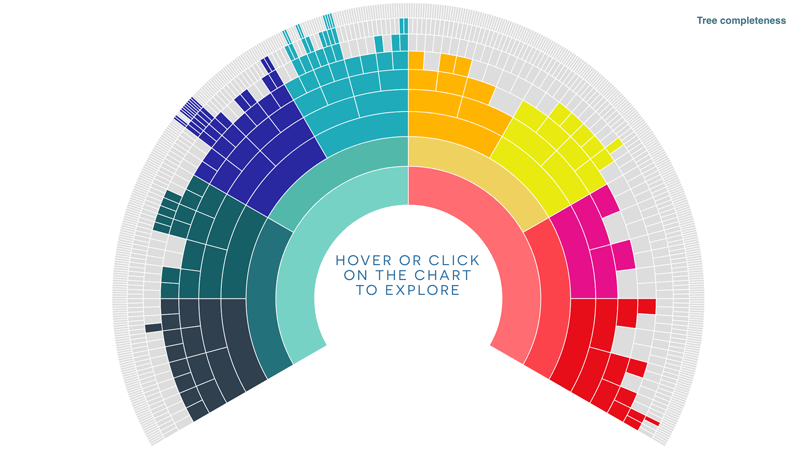 One-page presentation of your ancestral pedigree