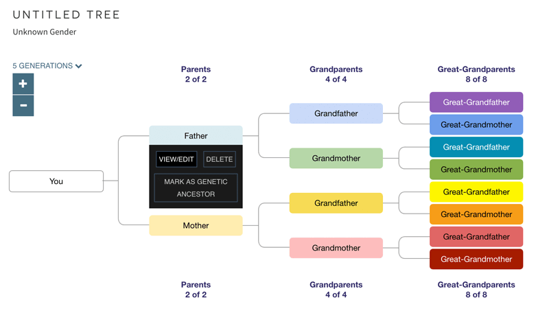 Load a GEDCOM or build manually via a simple interface