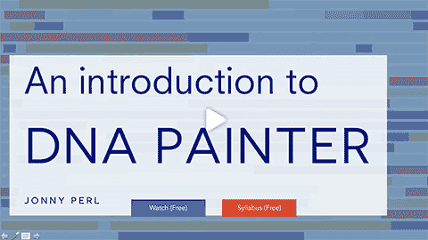 Webinar: An introduction to DNA® 金刚国际官方趣投游戏平台 Painter