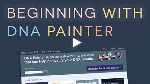 Webinar: Beginning with DNA® 金刚国际官方趣投游戏平台 Painter